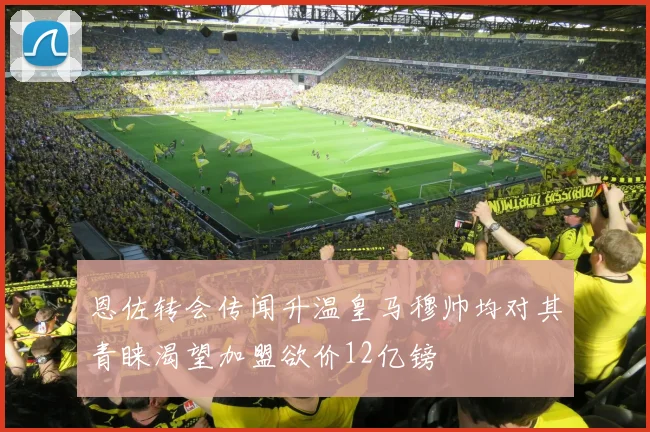 恩佐转会传闻升温皇马穆帅均对其青睐渴望加盟欲价12亿镑